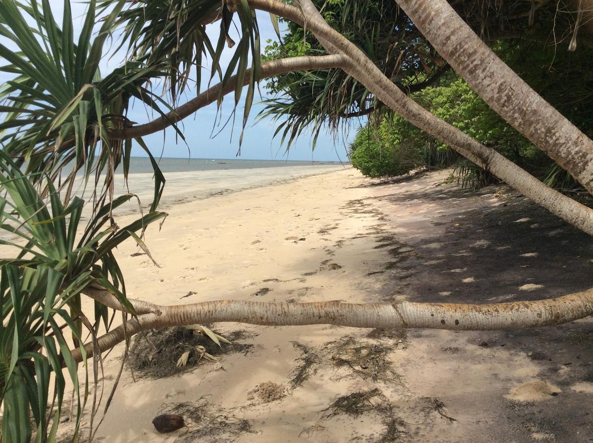 Peponi Beach Resort Pangani エクステリア 写真