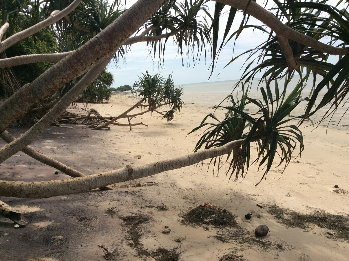 Peponi Beach Resort Pangani エクステリア 写真